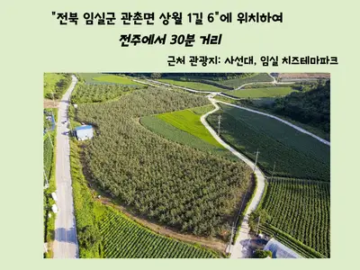 김삿갓 사과농장