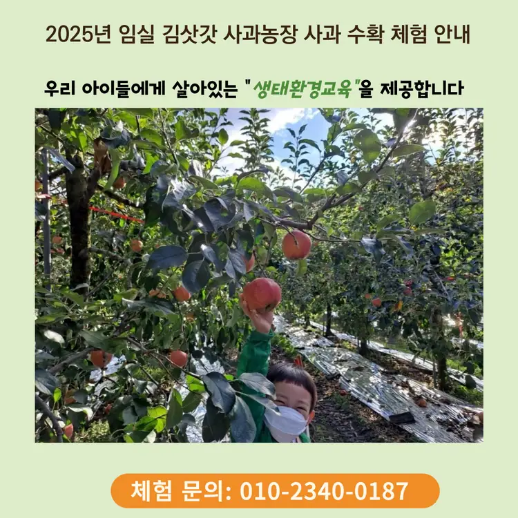 김삿갓 사과농장 사진 4