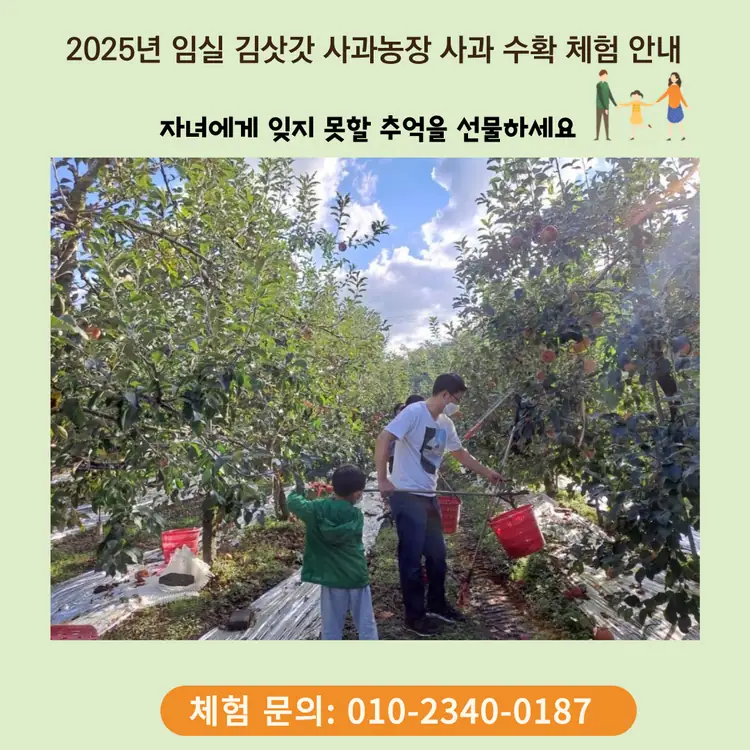 김삿갓 사과농장 사진 5