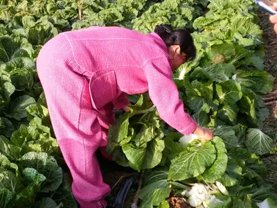 뫼농장가족
