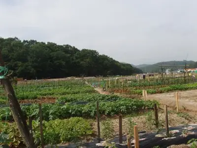 진영농장