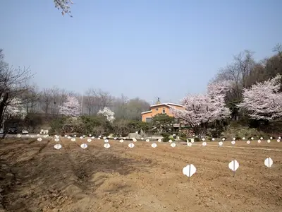 들꽃풍경