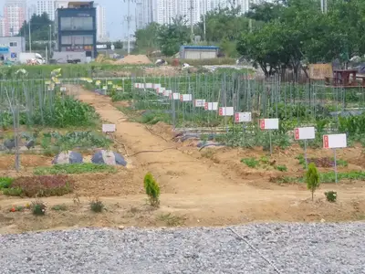 첨단 그린팜 주말농장
