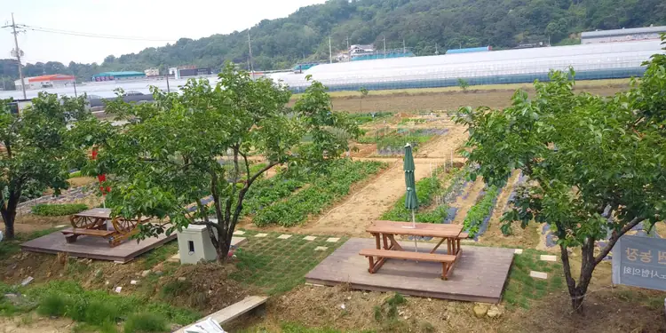 첨단 그린팜 주말농장 사진 2