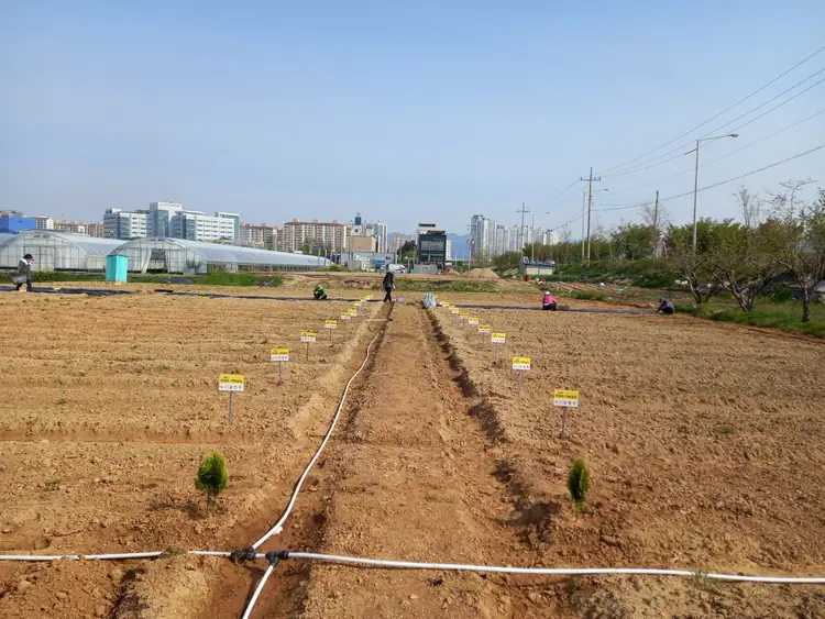 첨단 그린팜 주말농장 사진 3