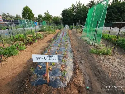 태현주말농장