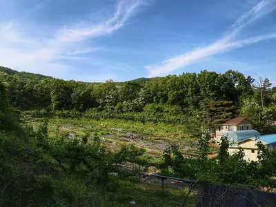 찬우물골주말농장