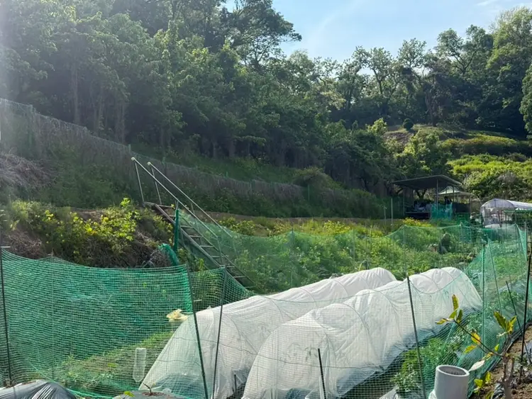찬우물골주말농장 사진 4