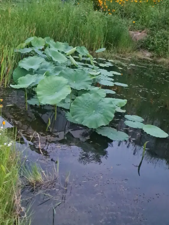 지산 벨라농장 사진 5