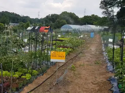 블루팜 주말농장