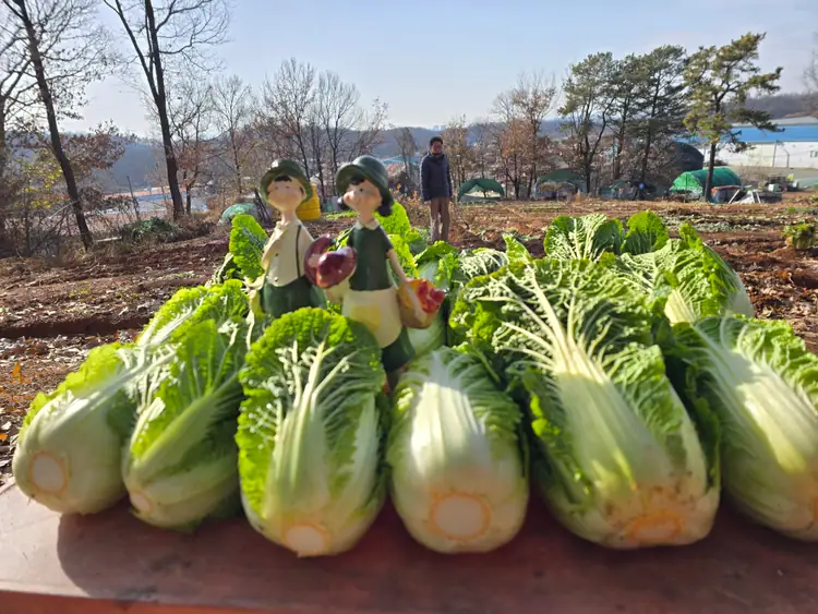 블루팜 주말농장 사진 2