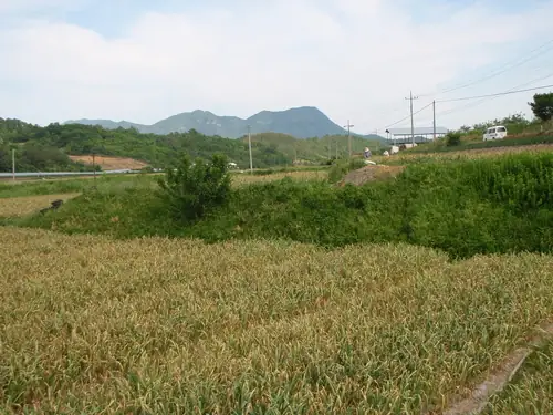 우리농장 사진 2