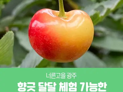 오색향농원