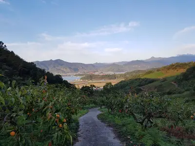 지리산해뜨네