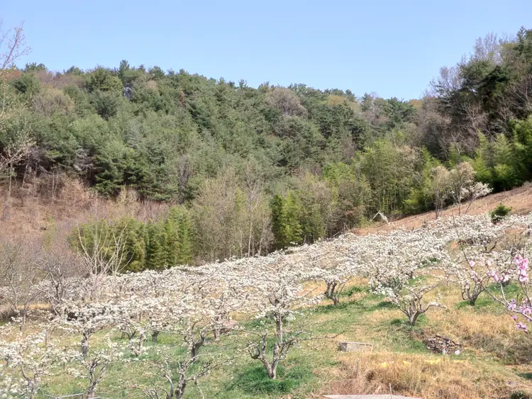 지리산해뜨네 사진 2