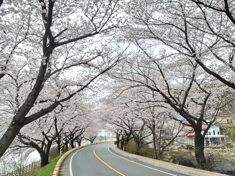 지리산해뜨네 사진 3