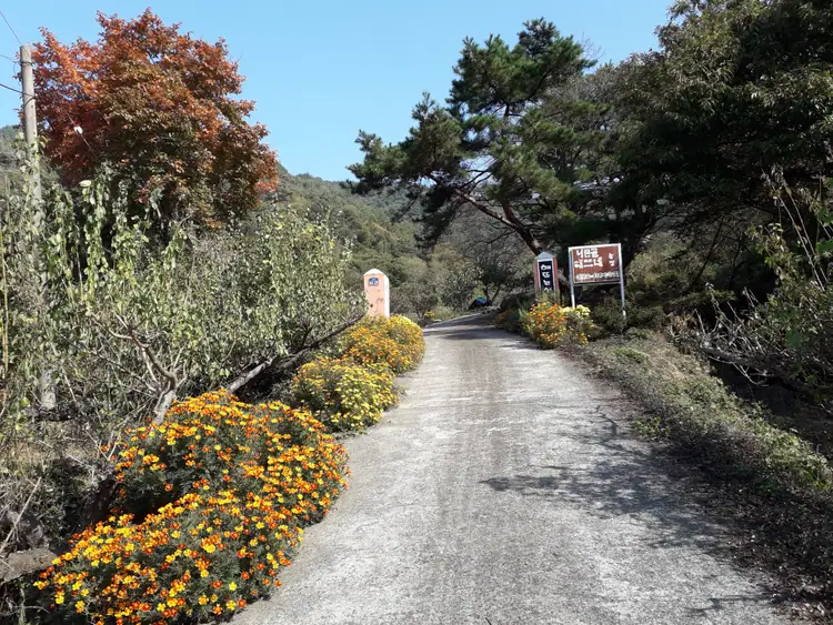 지리산해뜨네 사진 4