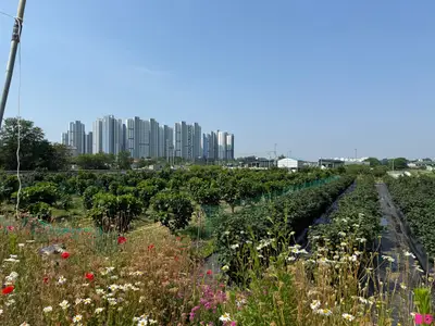 소풍 체험농장