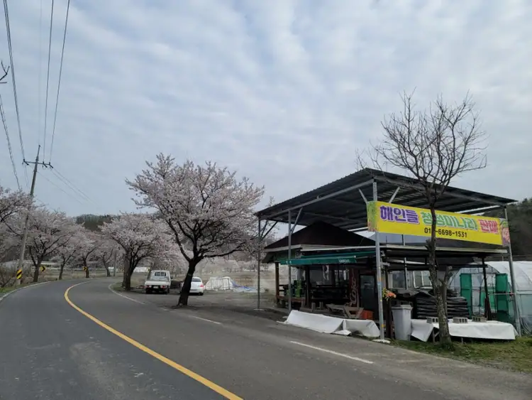 해인들농장 사진 2