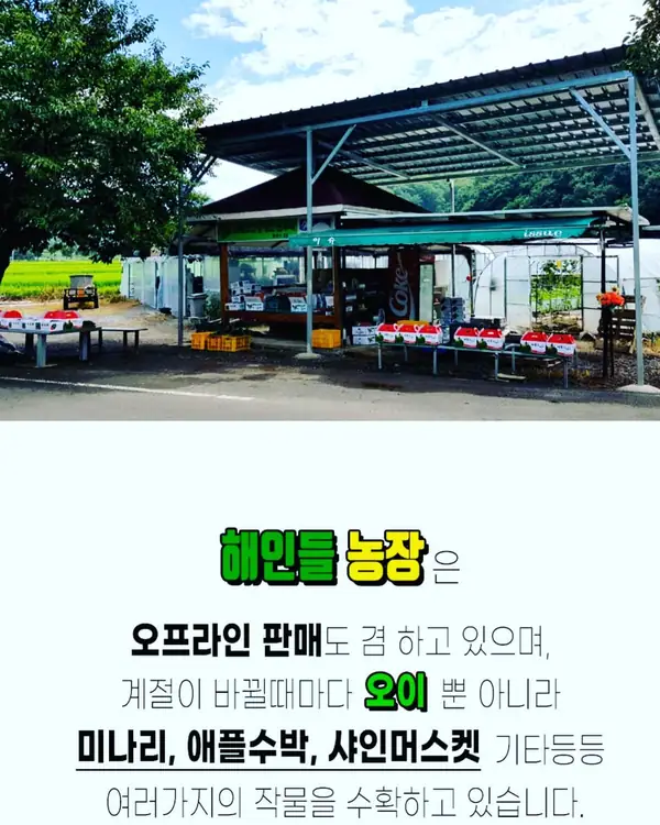 해인들농장 사진 4