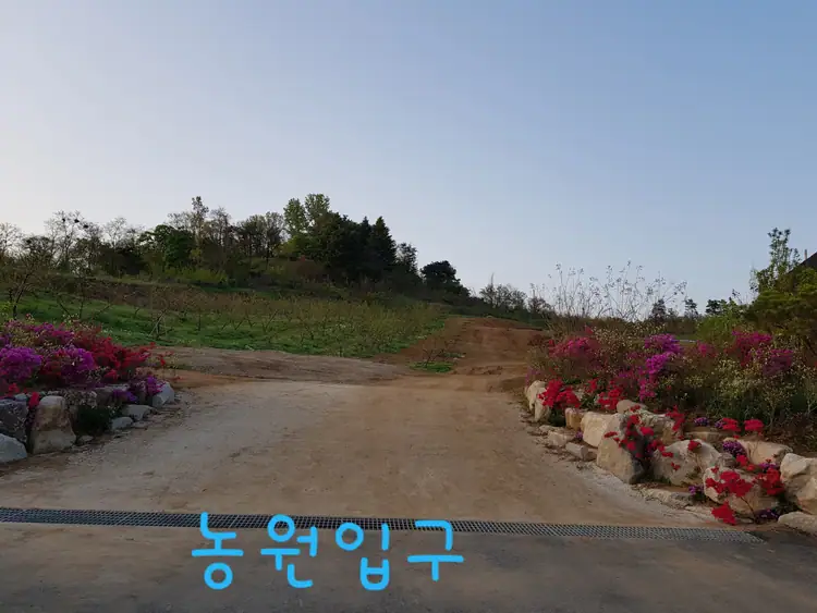 은빛농원 사진 4