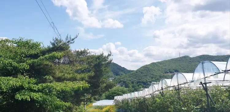 수우원 교육농장 사진 4