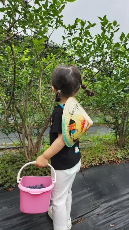 블루베리숲속팜 사진 4