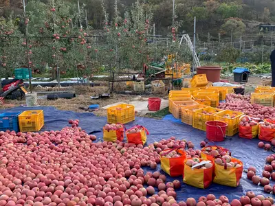 평리농원