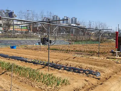 하늘그루체험교육주말농장