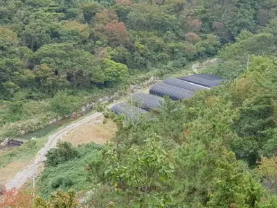 옛산골농장