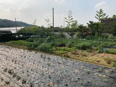 율현 주말농장