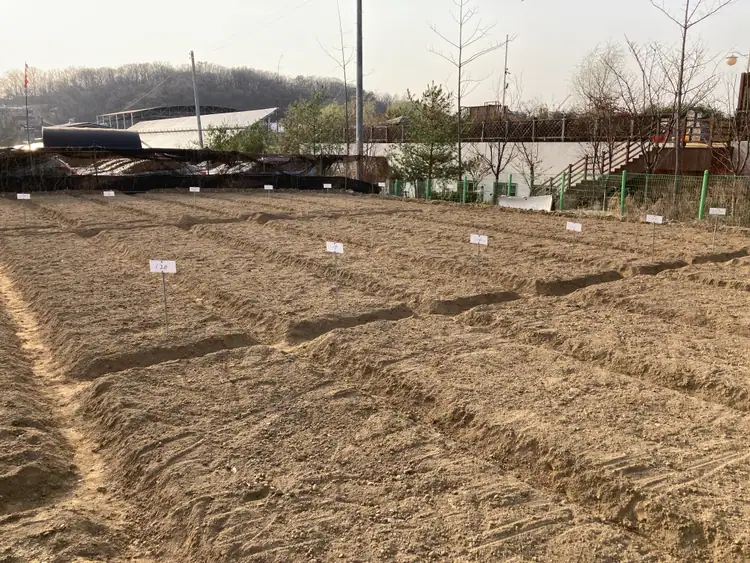 율현 주말농장 사진 4