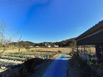 영창네농장