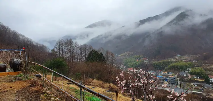송산농장 사진 2