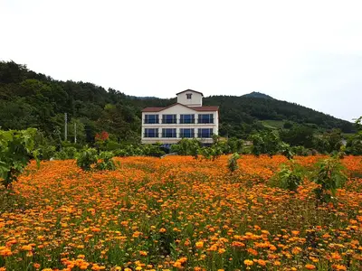 가야농장