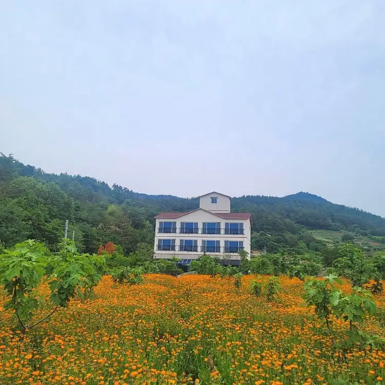 가야농장 사진 2