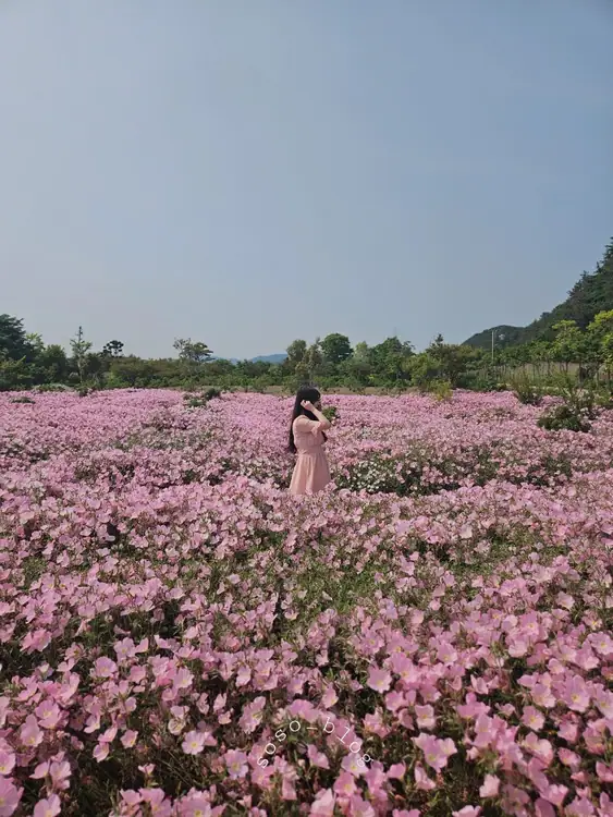가야농장 사진 3
