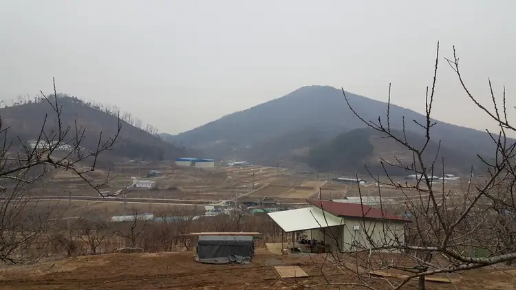 버들체험농원 사진 2
