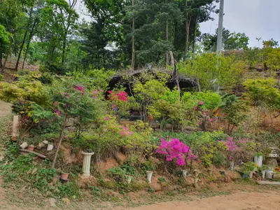 여쉼산농장