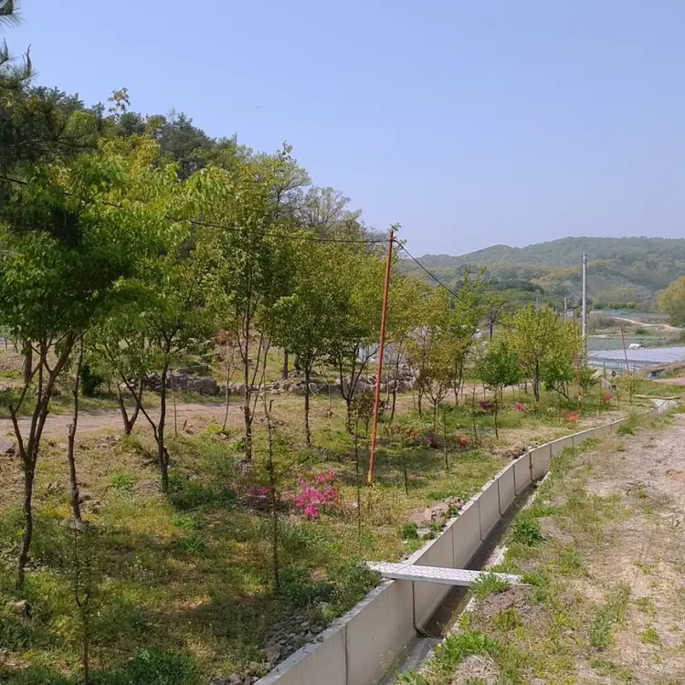 달빛우산 사진 3