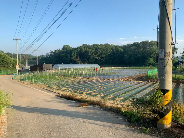 삼남매주말농장 사진 3