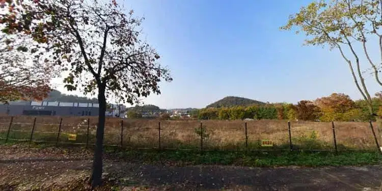 살래텃밭 사진 3