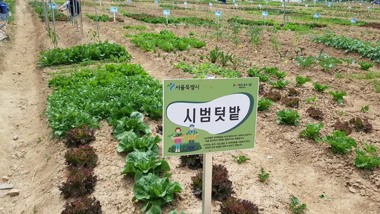 안현동 친환경농장 사진 4