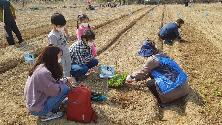 안현동 친환경농장 사진 5