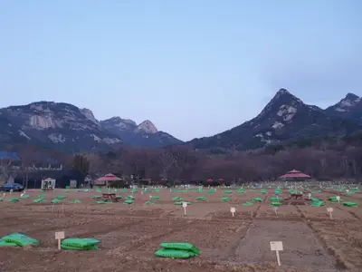 솔밭농장