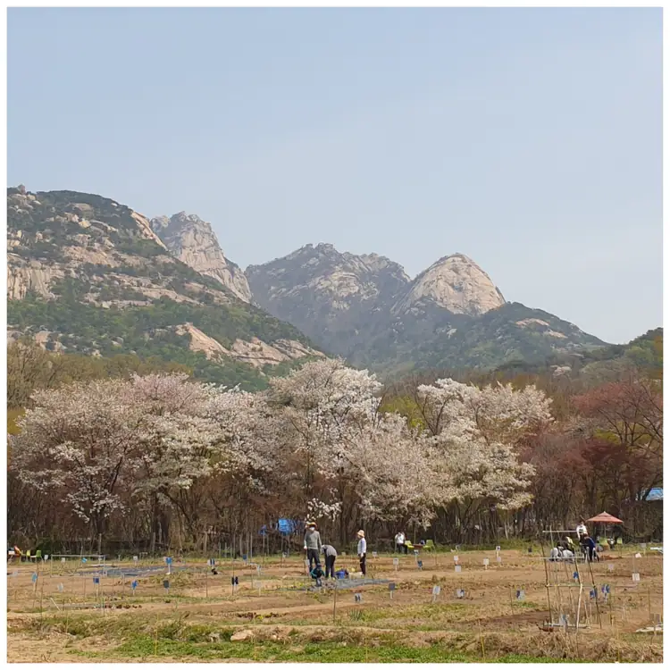 솔밭농장 사진 2