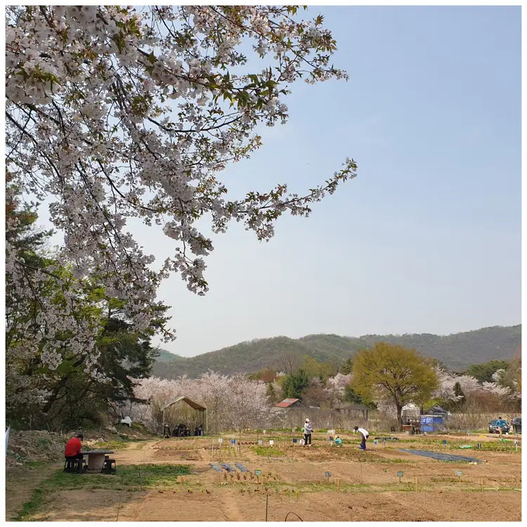 솔밭농장 사진 3