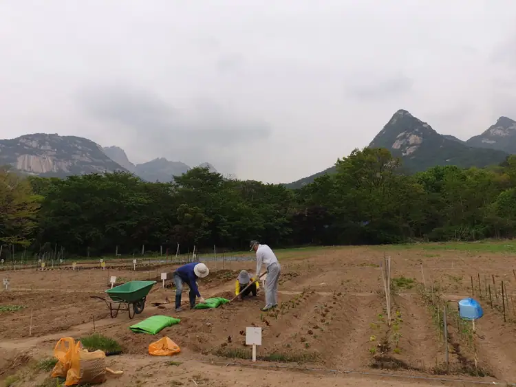 솔밭농장 사진 4