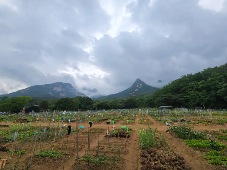 솔밭농장 사진 5