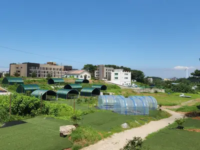 휴 팜